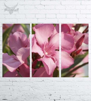 Модульная картина "Цветы №271"
