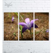 Модульная картина "Цветы №285"