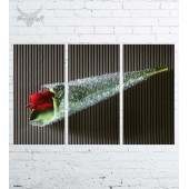 Модульная картина "Цветы №339"