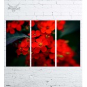 Модульная картина "Цветы №401"