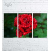 Модульная картина "Цветы №544"