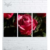 Модульная картина "Цветы №546"