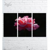 Модульная картина "Цветы №549"