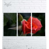 Модульная картина "Цветы №553"