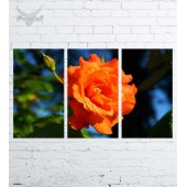 Модульная картина "Цветы №572"