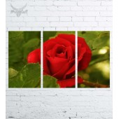 Модульная картина "Цветы №584"