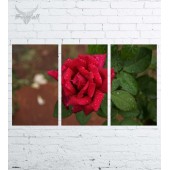 Модульная картина "Цветы №586"