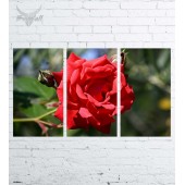Модульная картина "Цветы №588"