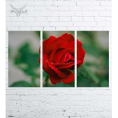 Модульная картина "Цветы №589"
