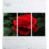 Модульная картина "Цветы №599"