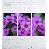 Модульная картина "Цветы №624"
