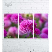 Модульная картина "Цветы №654"