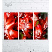 Модульная картина "Цветы №1208"