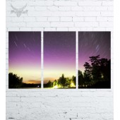 Модульная картина "Природа №1142"